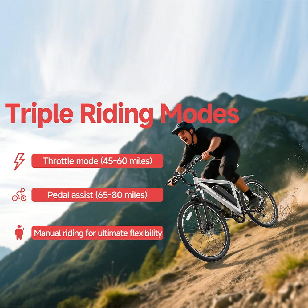 BK1350 Electric Bike