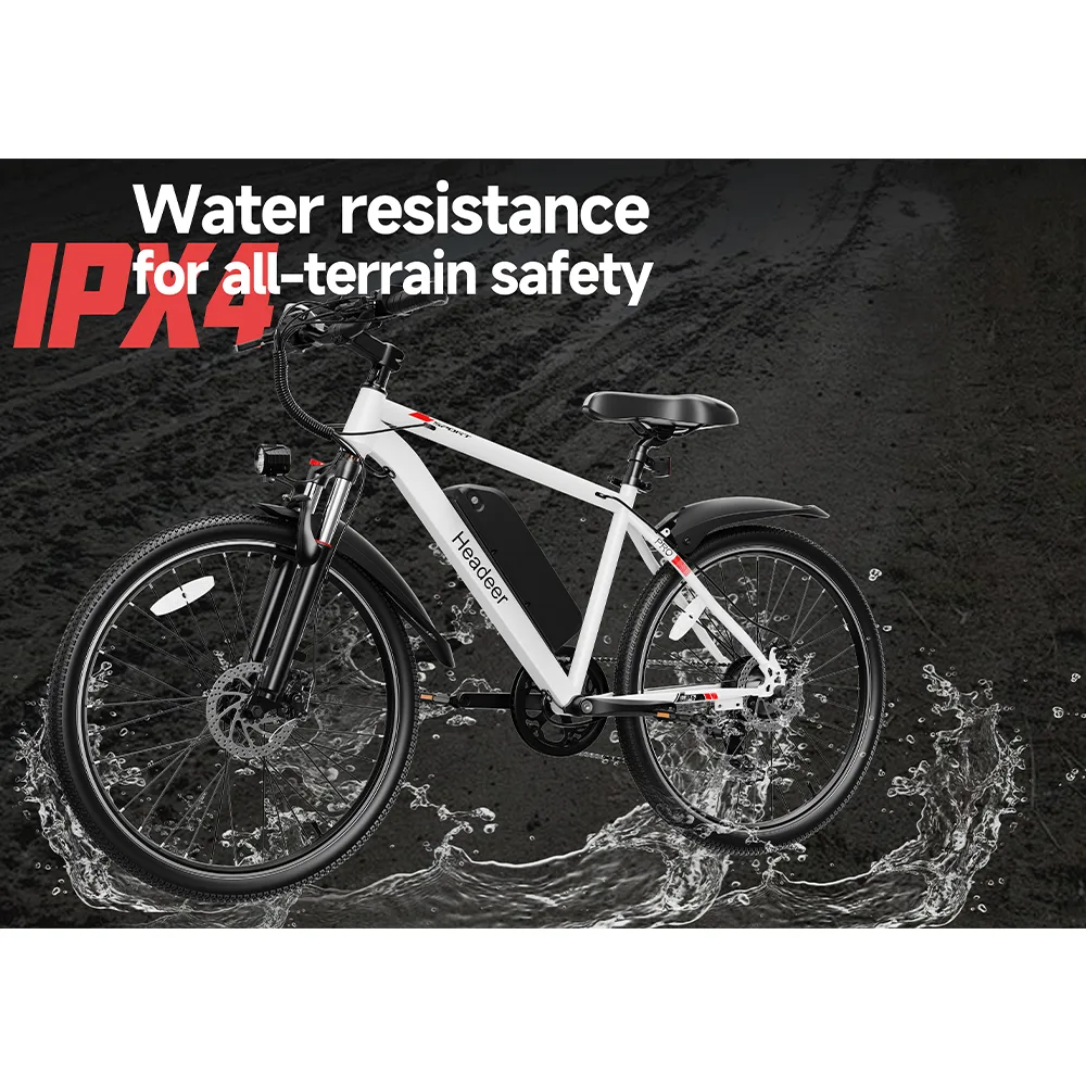 BK1350 Electric Bike