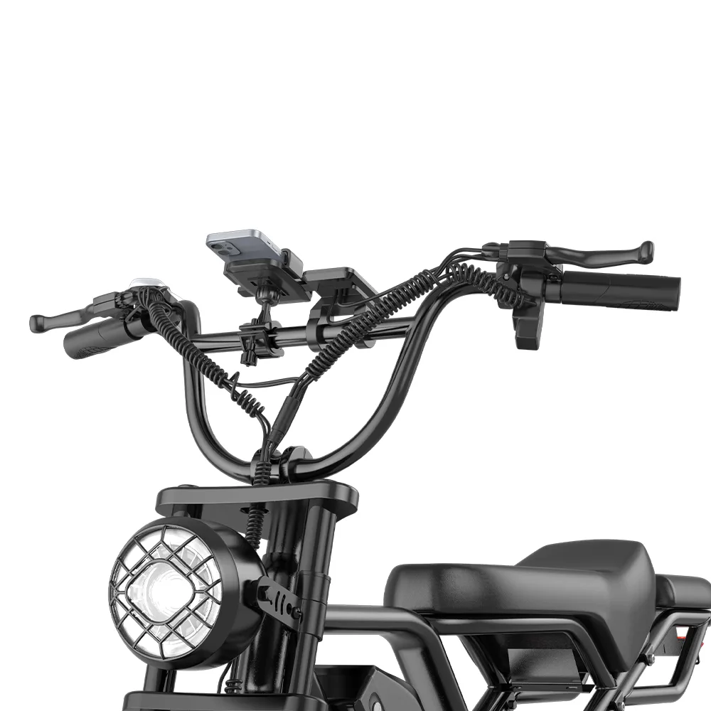 BK20 Fat-Tire Electric Bike