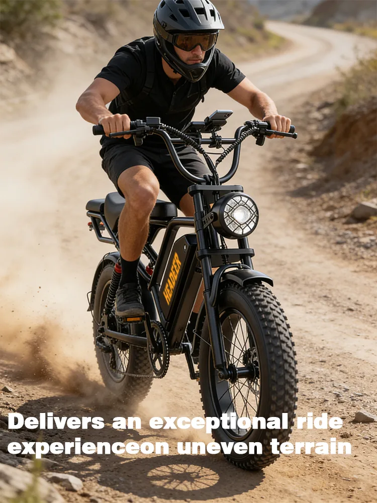BK20 Fat-Tire Electric Bike
