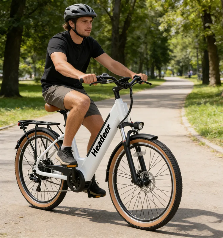BD26195 Electric Mountain Bike